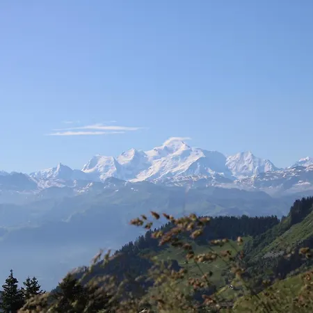 Vaccapark Le Praz de Lys