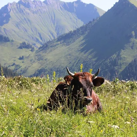 Vaccapark Le Praz de Lys