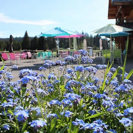 Hotel Vaccapark